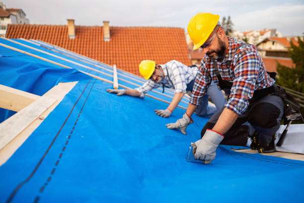Quick and Trustworthy Emergency Roof Repair Services in Salisbury, MD